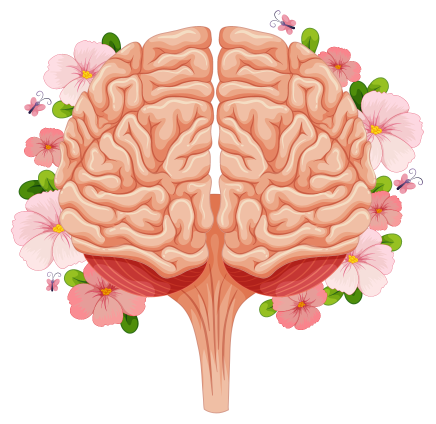 CÉREBRO florido